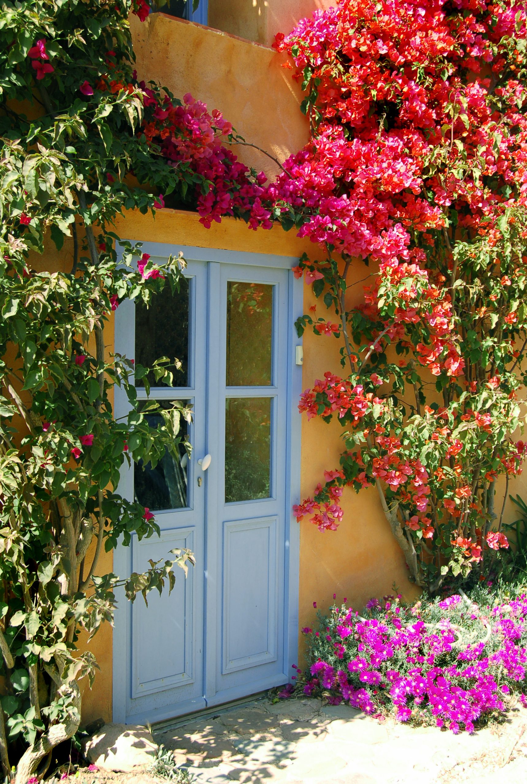 Door to a fairytale house